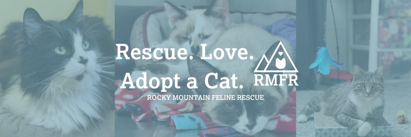 RMFRCO's profile banner image