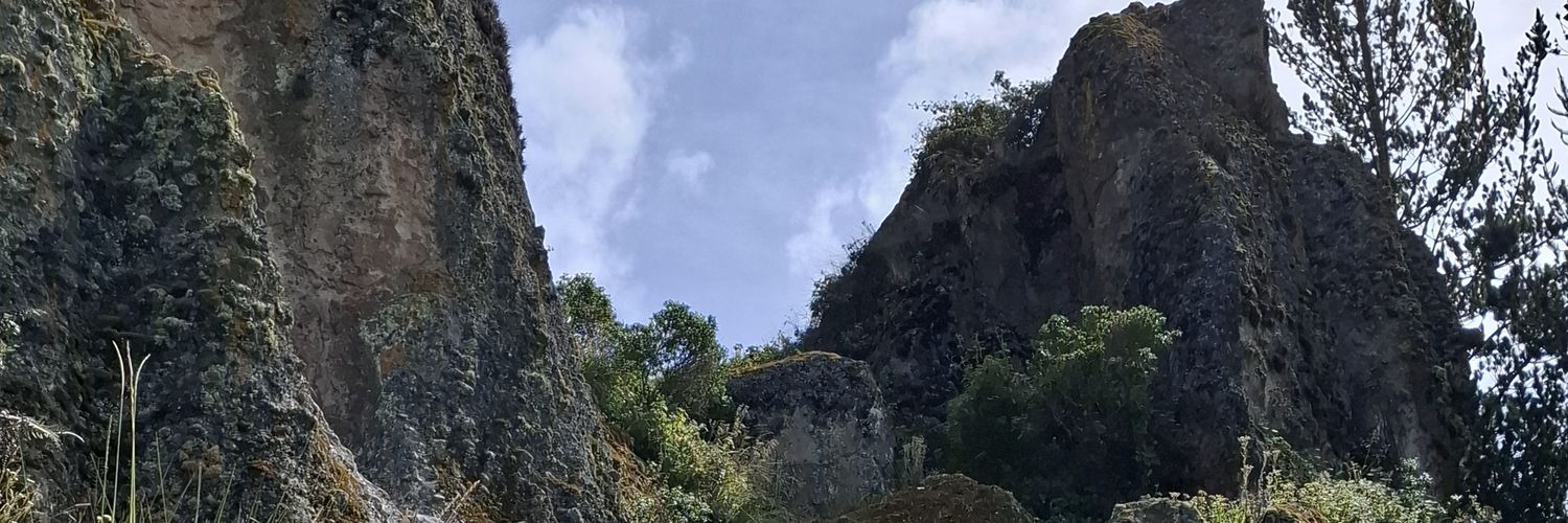 Felipe Xnonymux banner