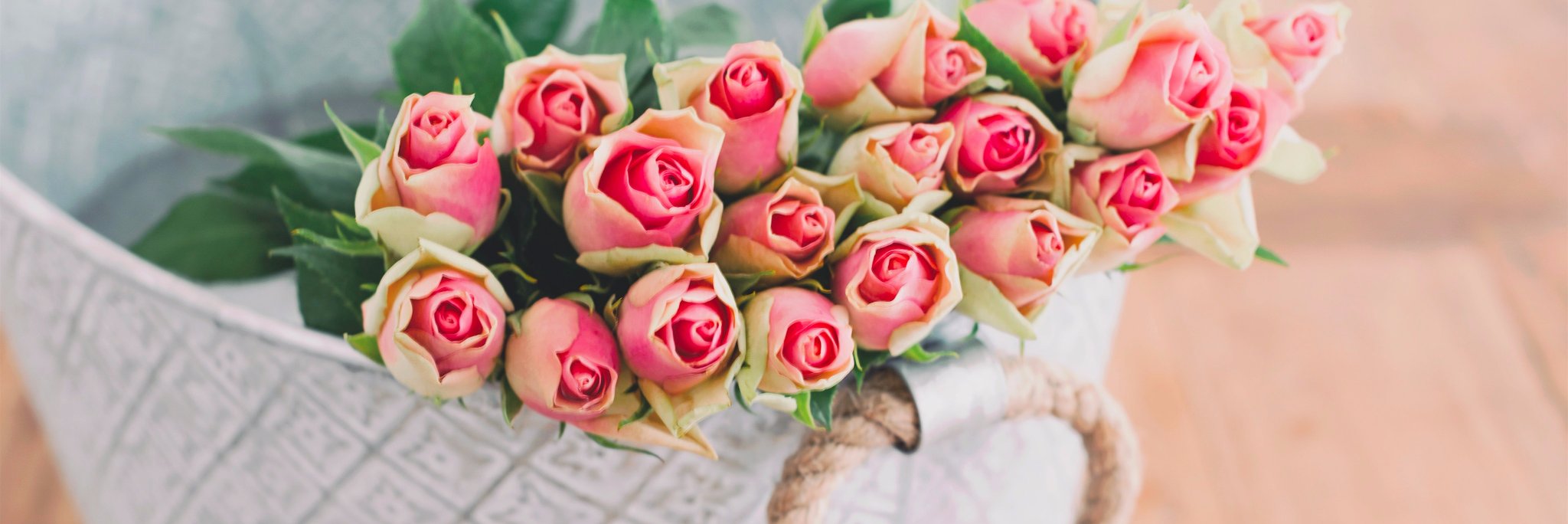 Lisa Frame (she/her/y’all) banner