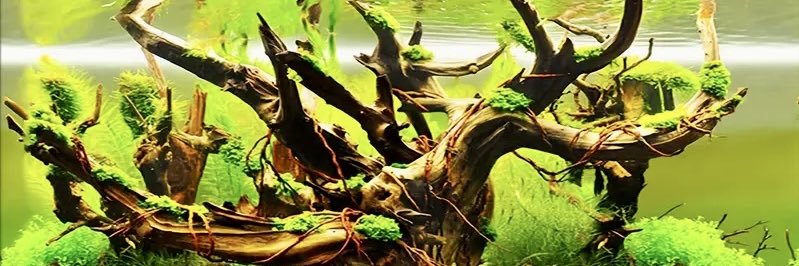 sevader2's profile banner image