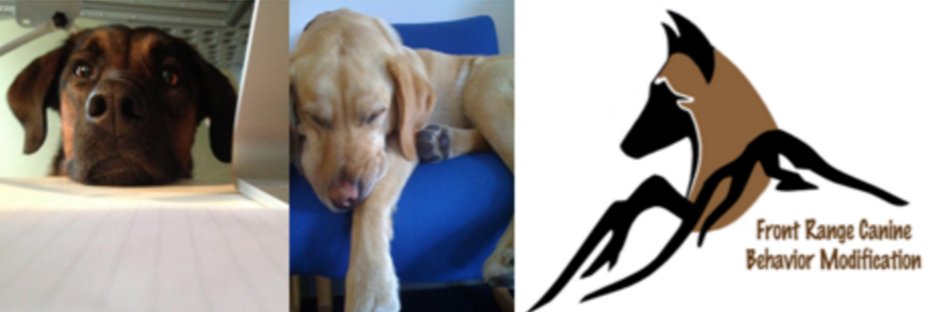FRDogTraining's profile banner image