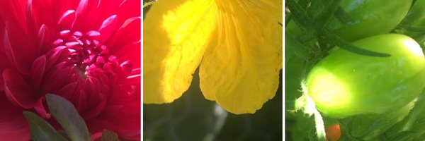 lovelyrf Profile Banner