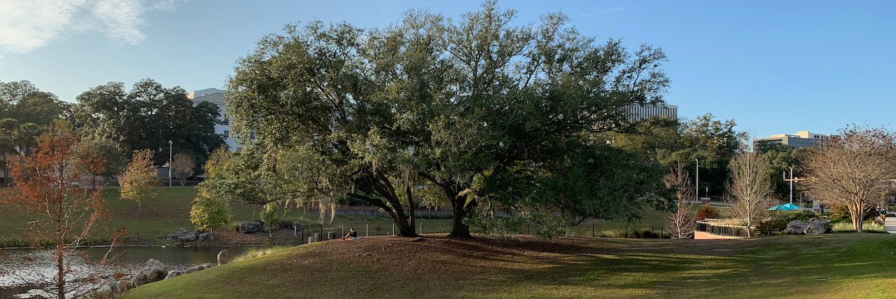 Herman Autore banner