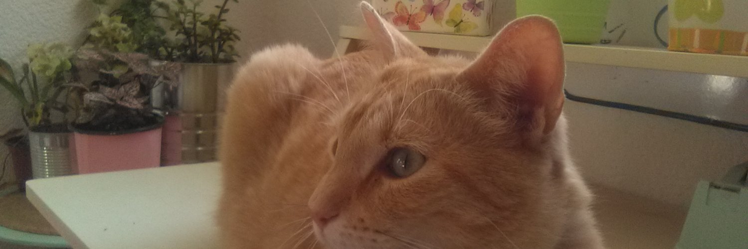 chizeyrita's profile banner image