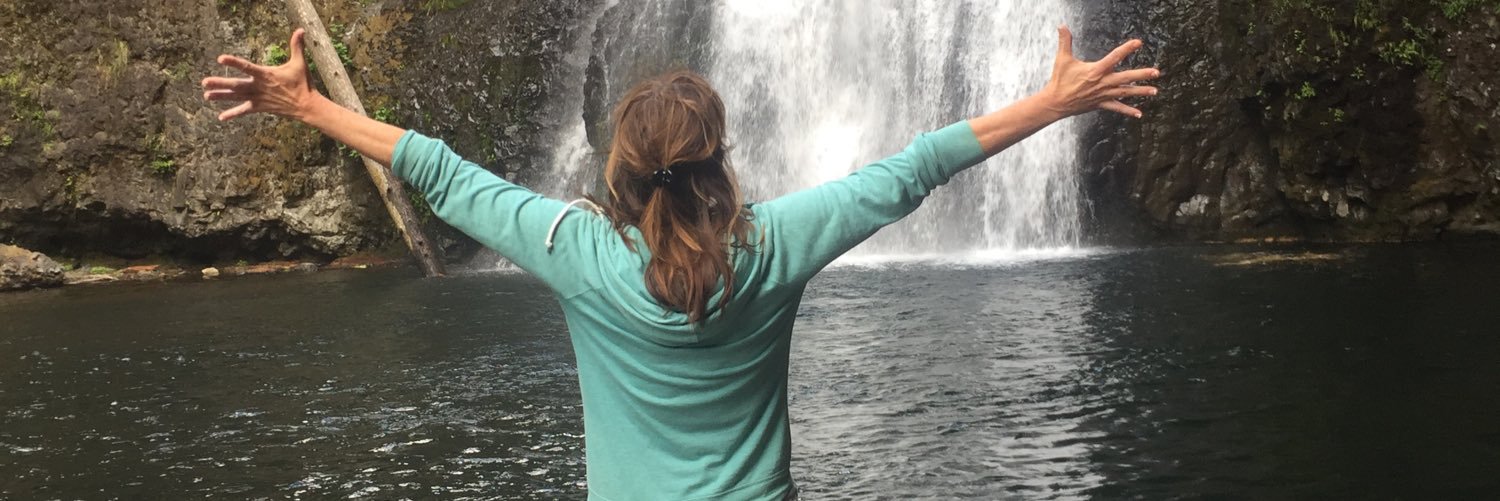 LeslieZook's profile banner image