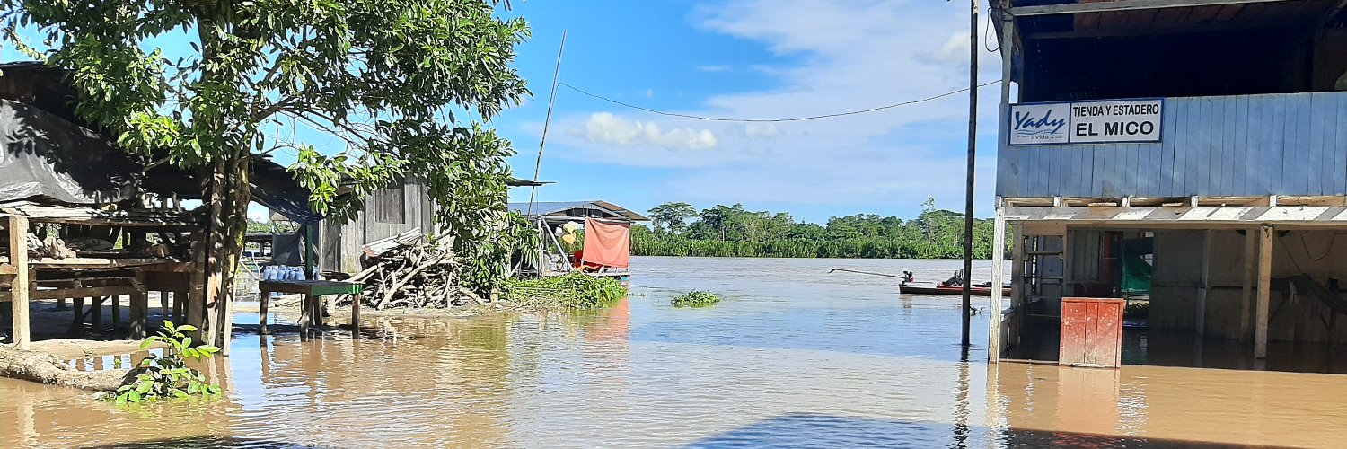 jose luis silva montealegre banner