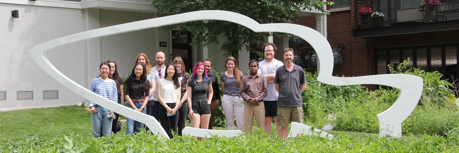 Jordan Shavit banner