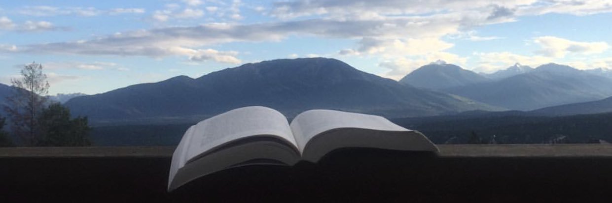 AracelysBooks's profile banner image
