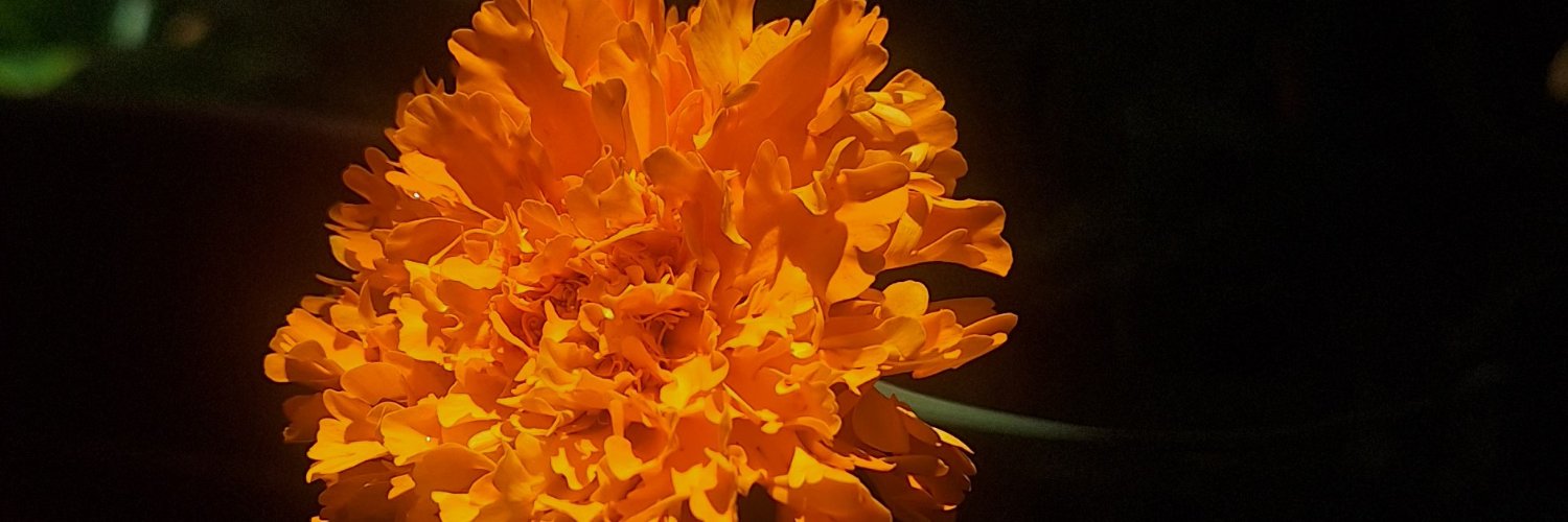 clauum93's profile banner image