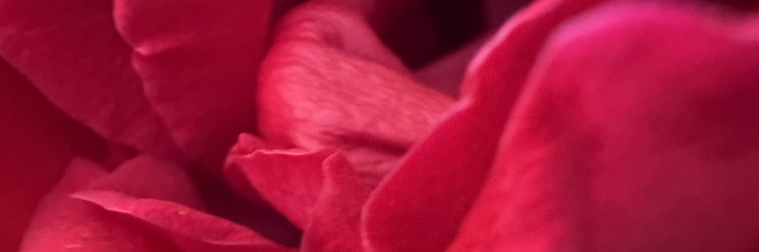 Alex_leon121's profile banner image