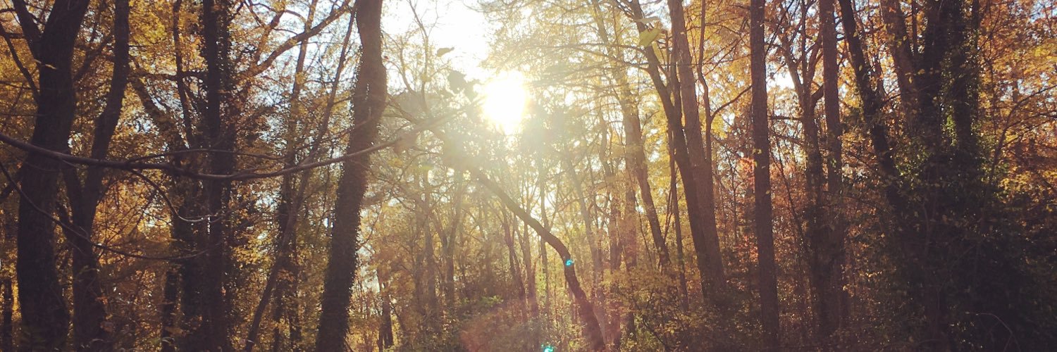 mir_rob's profile banner image