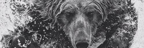 canuck_bry's profile banner image