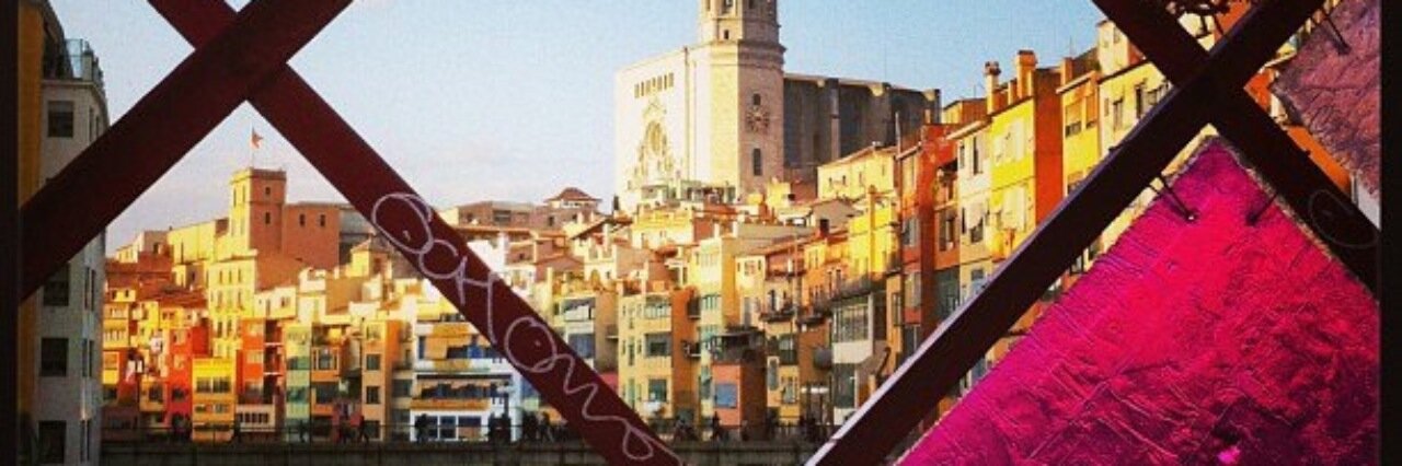 Brenda_Daanen's profile banner image