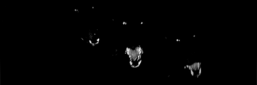 Joseph И Riceman banner