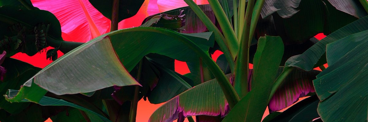 youngpapi4real_'s profile banner image