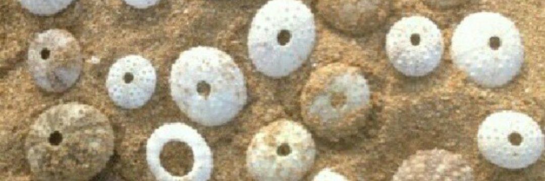 camillemo72's profile banner image