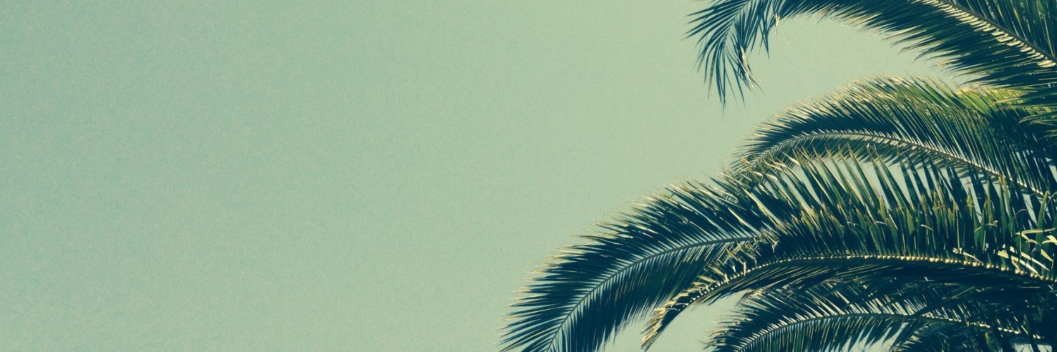 StanleySathler's profile banner image