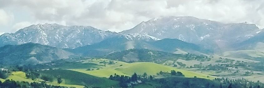 Michelle Beeney Leonatti banner