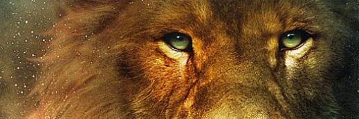 Triraioel's profile banner image