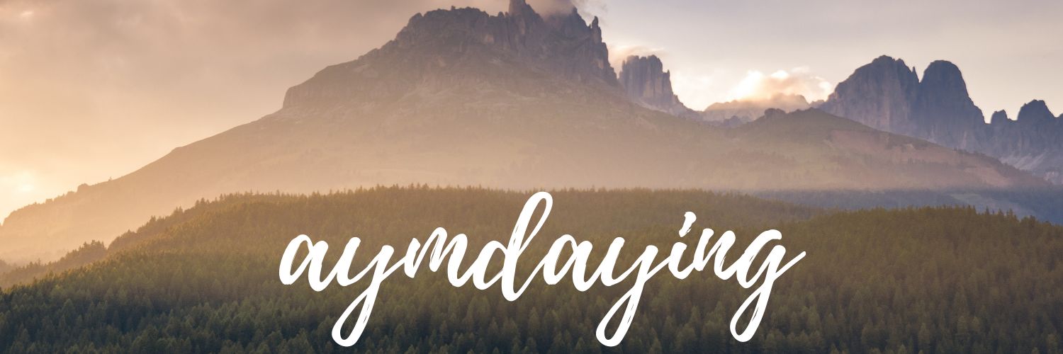 _aymdaying's profile banner image