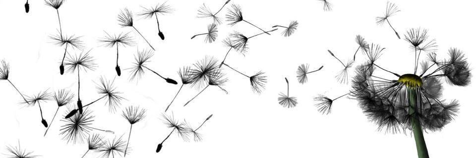 emeaveo's profile banner image