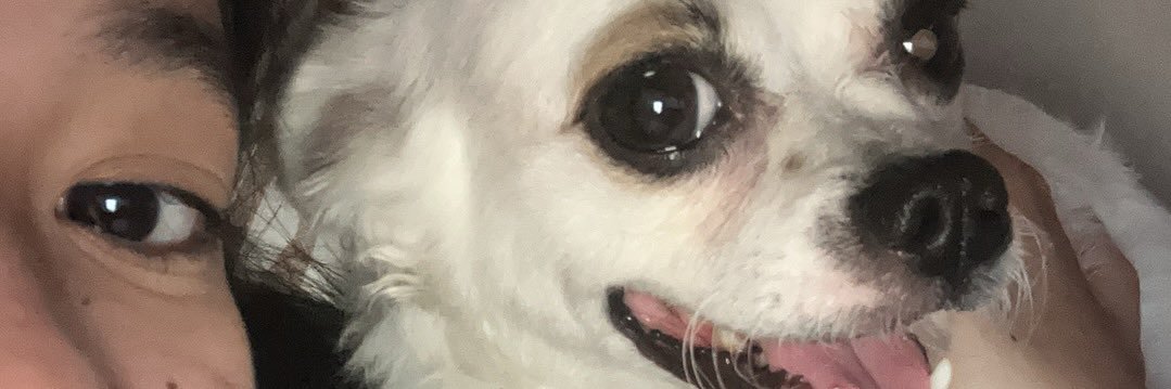 ynrmnsd's profile banner image