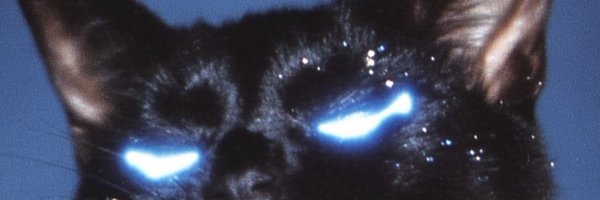 BasstrickMusic Profile Banner