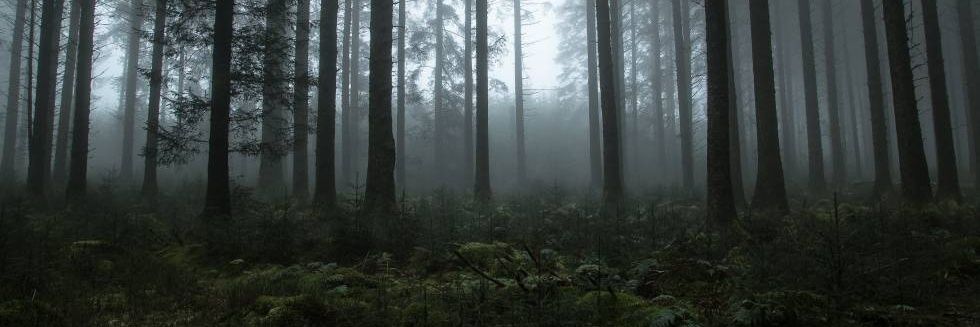 Raúl Avellaneda Báez banner