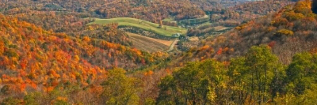 taylorfredforu's profile banner image