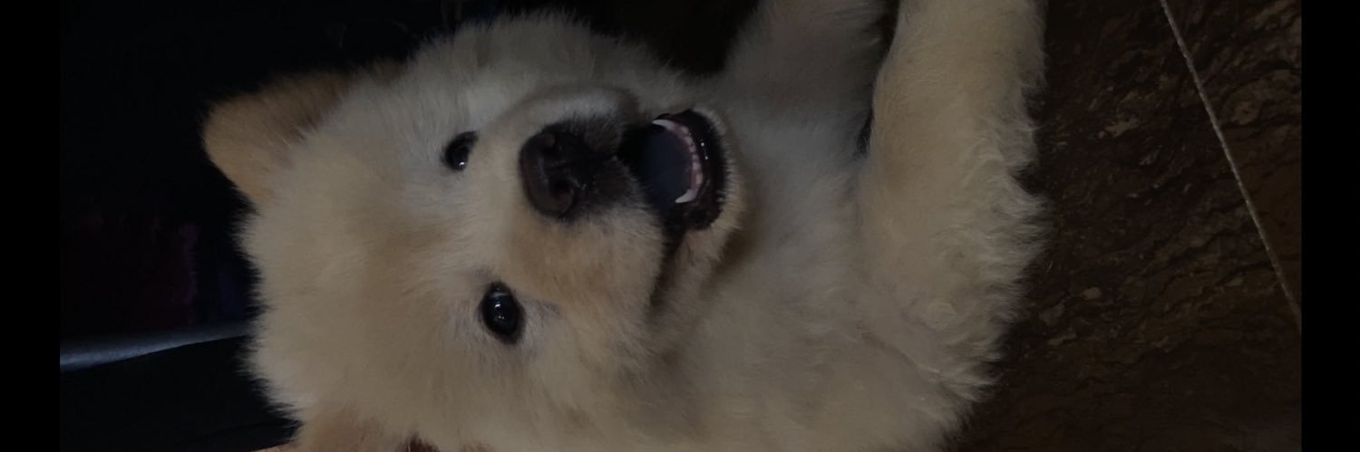 Ajanielaaa's profile banner image