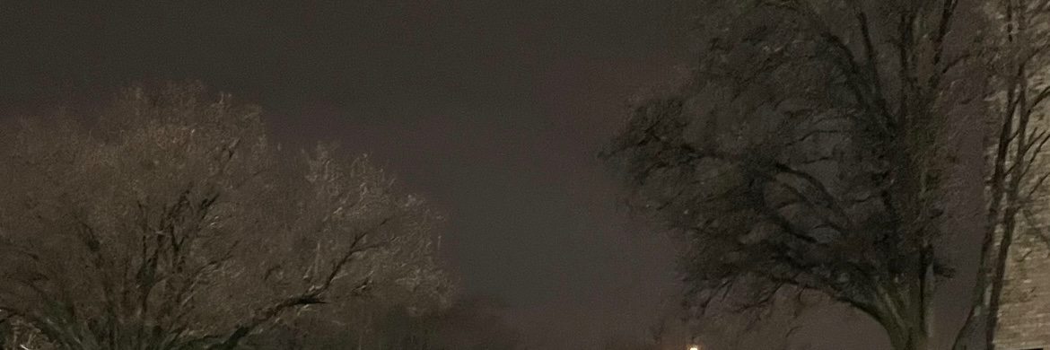 postmaneee's profile banner image