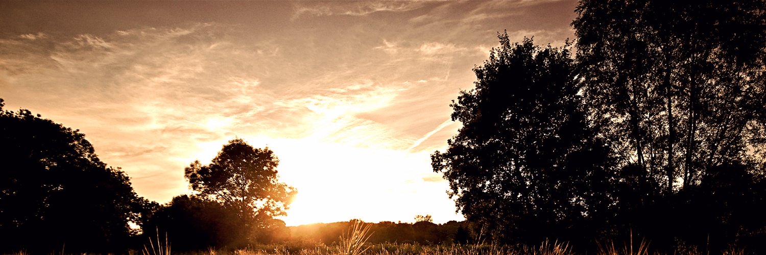 SiscaSiscadia's profile banner image