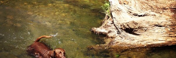 robtown10 Profile Banner