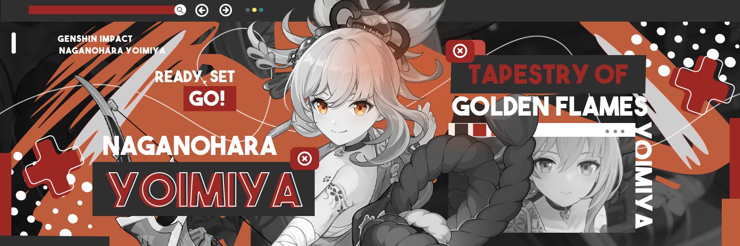 Fei banner