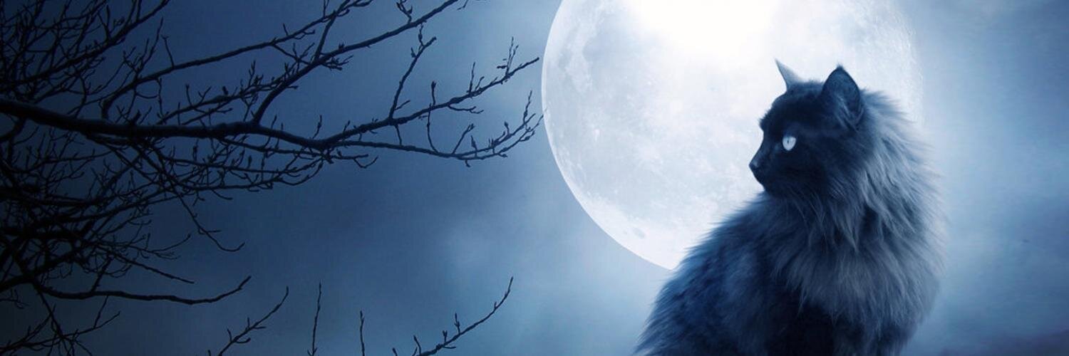 koshka38's profile banner image