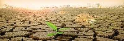 ISF_NL_SOUTH's profile banner image