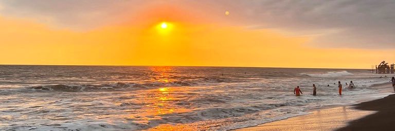 Lis ✌🏻 banner