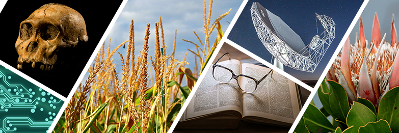 SAJournalofScience banner