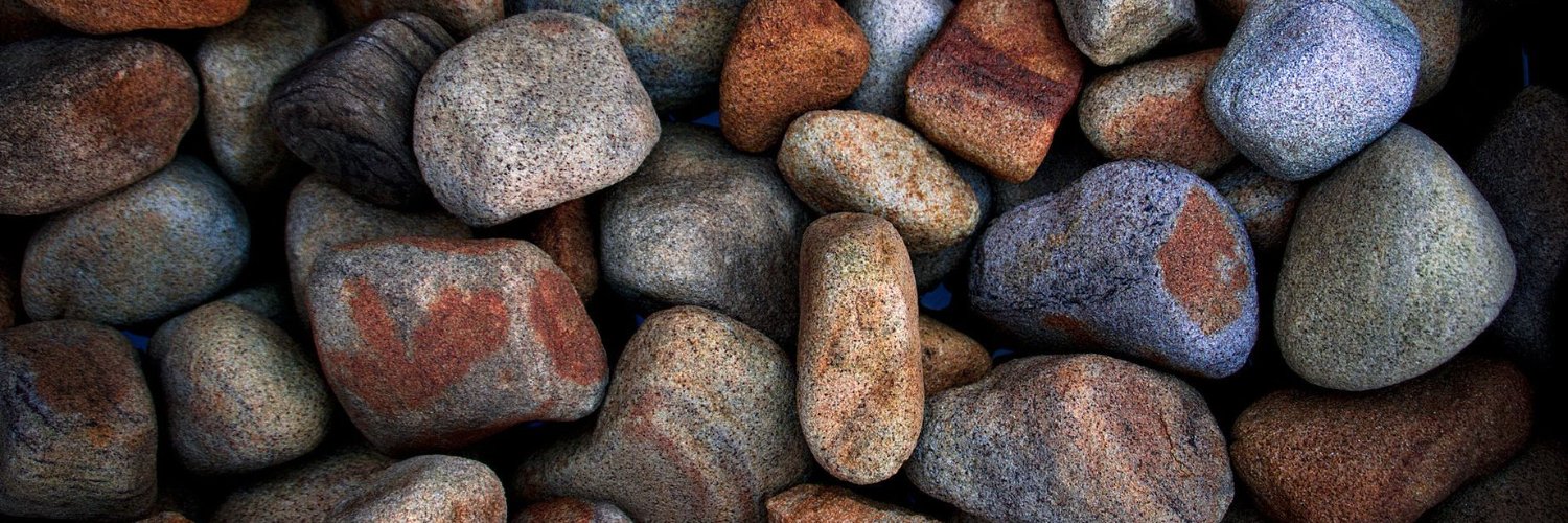 Shelly Tudor (💙,🧡) .lens - ❤️ Memecoin banner