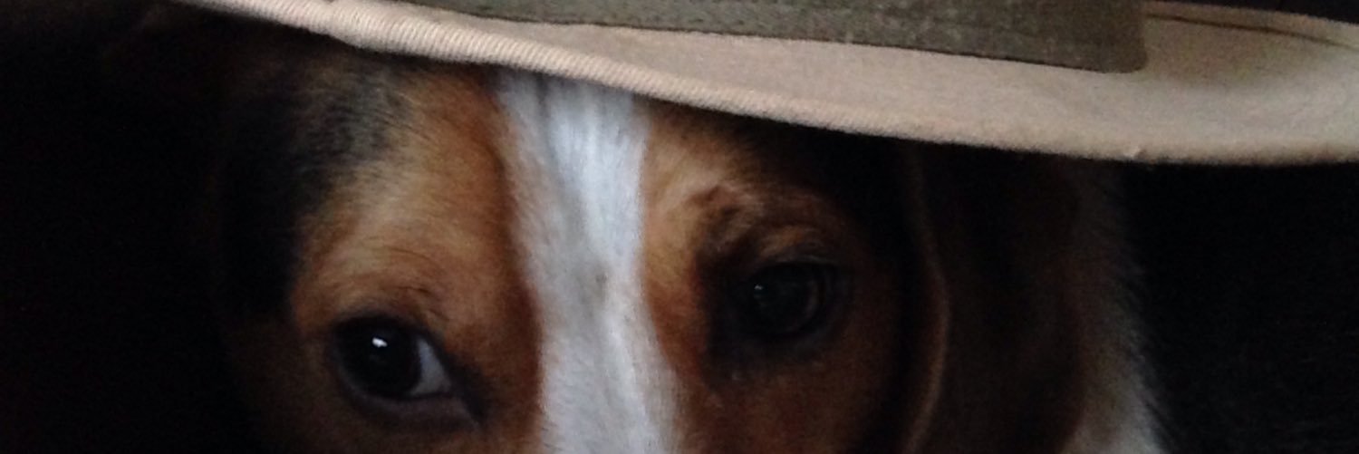 DafTydd's profile banner image