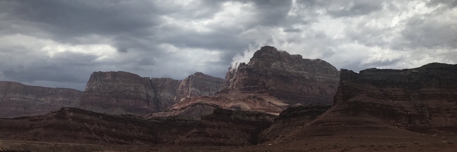 aliarau's profile banner image