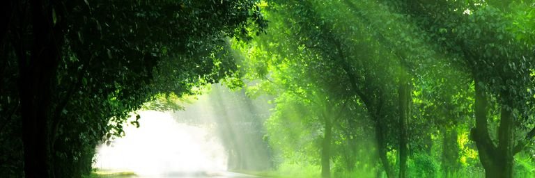 S_Armanini's profile banner image