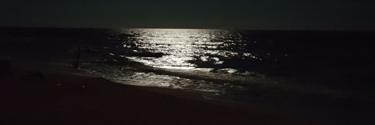 frenchshadow's profile banner image