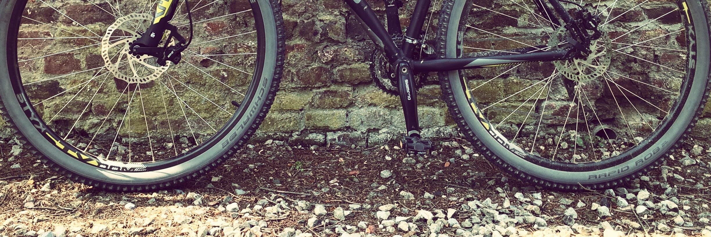 Georg Ledermann banner