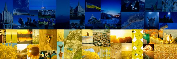 UKRinESP Profile Banner