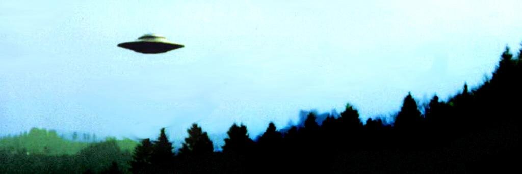 coksusan's profile banner image