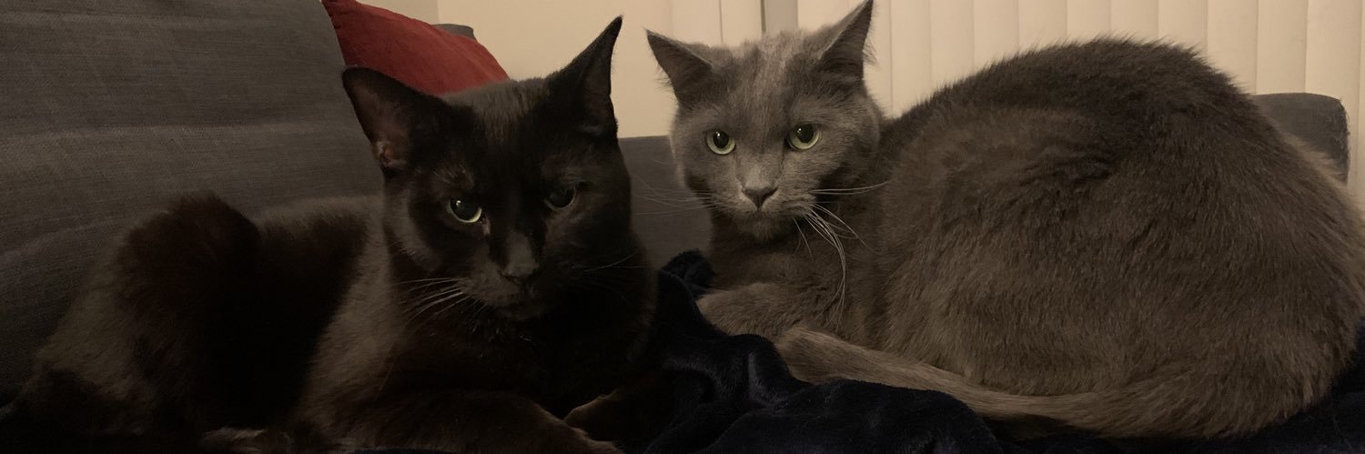 Andrew Capone banner