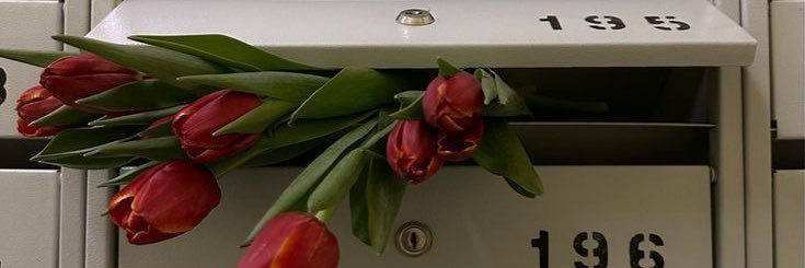 dibcastillo's profile banner image