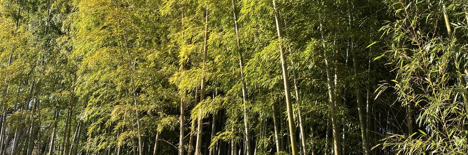 secilia2010@猫のお守り banner