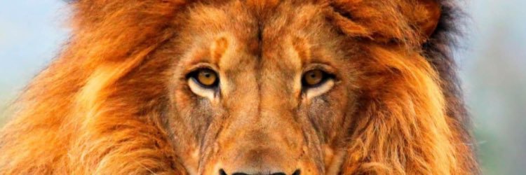 _uptown_goode's profile banner image